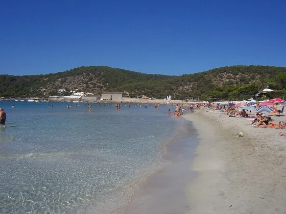 Ibiza_playa_de_ses_saline